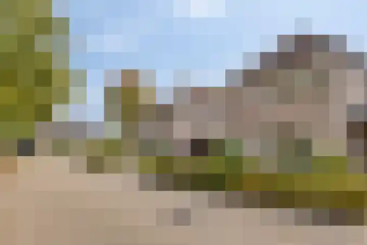 Roesterd 13 Ravenstein thumbnail 27