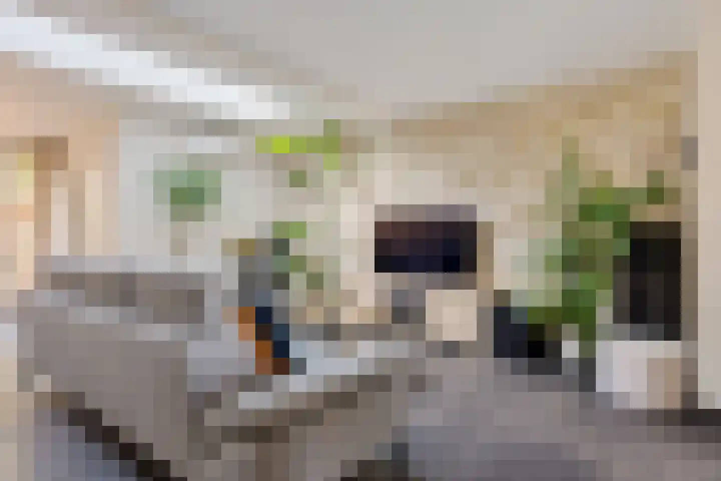 Roesterd 6 Ravenstein thumbnail 13