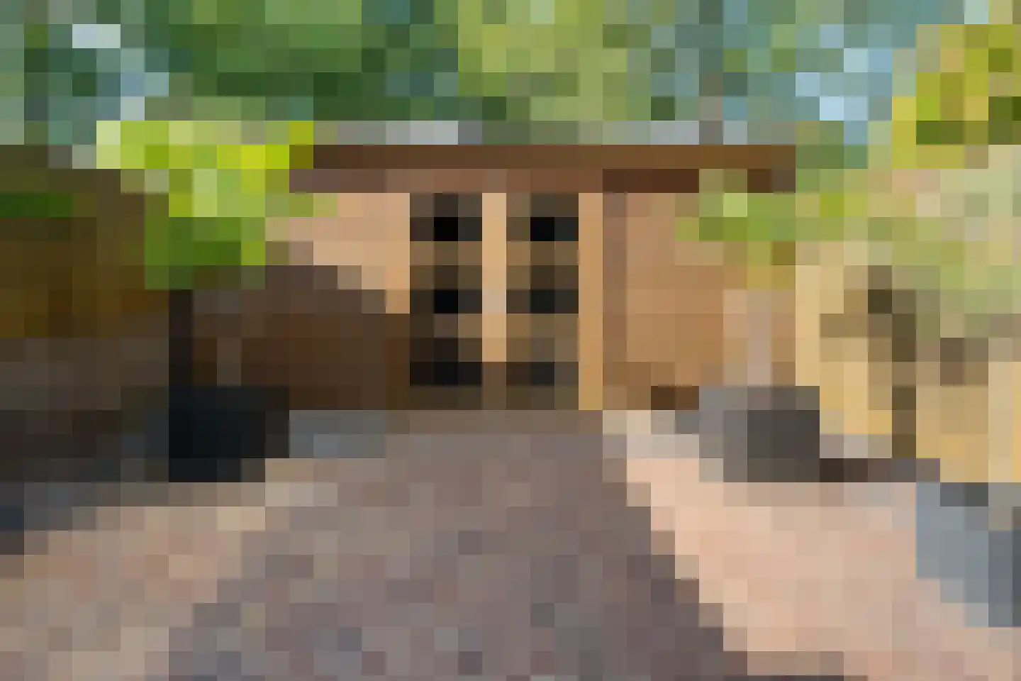 Roesterd 6 Ravenstein thumbnail 44