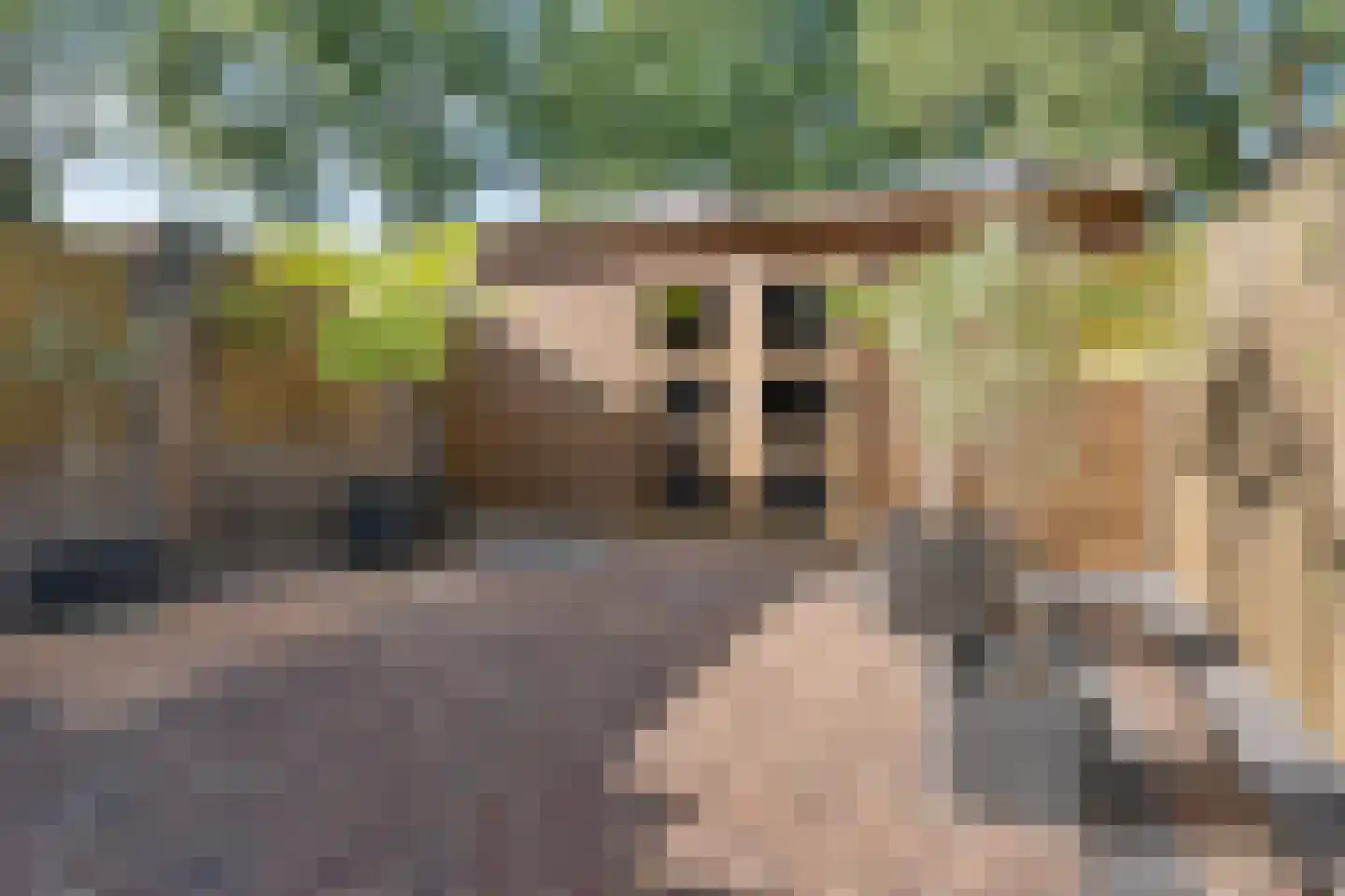Roesterd 6 Ravenstein thumbnail 45