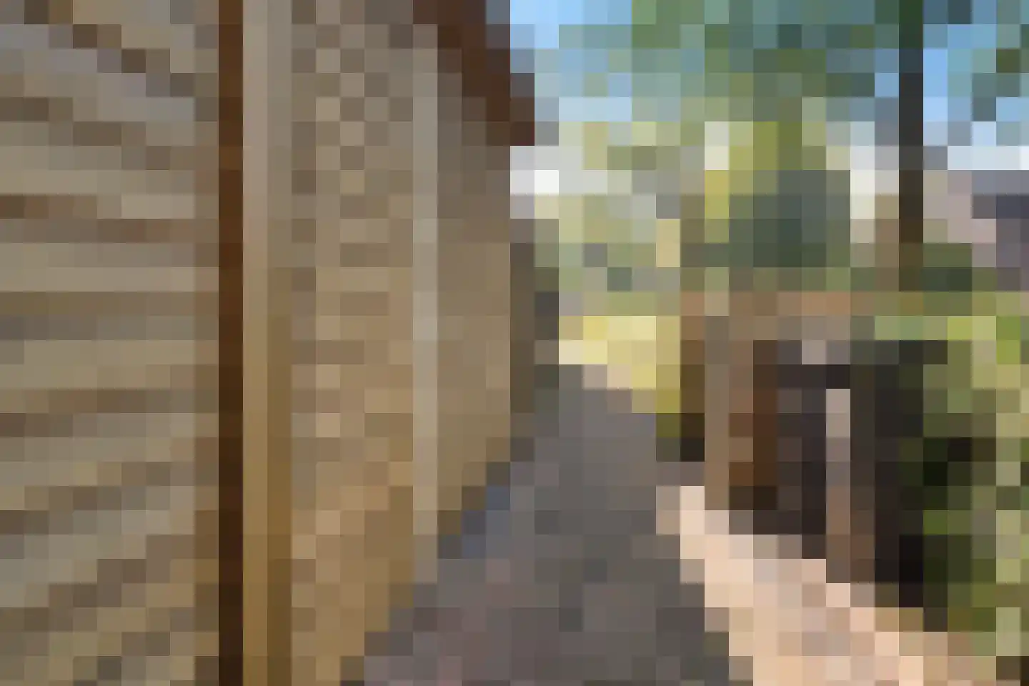Roesterd 6 Ravenstein thumbnail 50