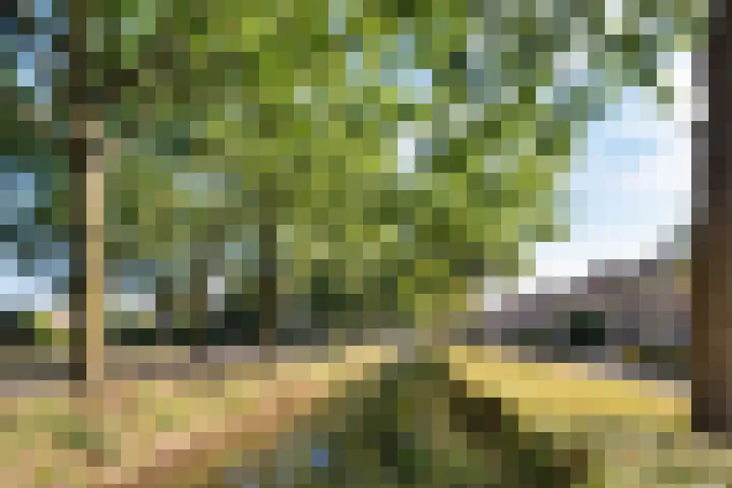 Roesterd 6 Ravenstein thumbnail 55