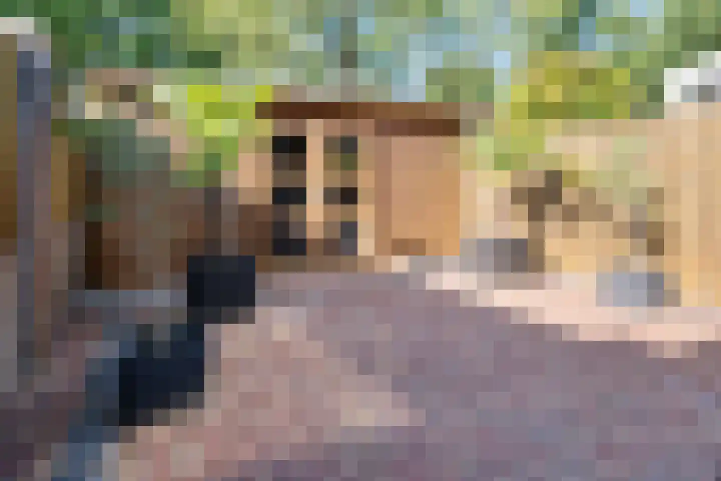 Roesterd 6 Ravenstein thumbnail 6