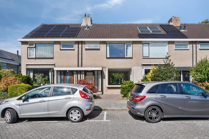 Roestmos 14 en Rotterdam foto