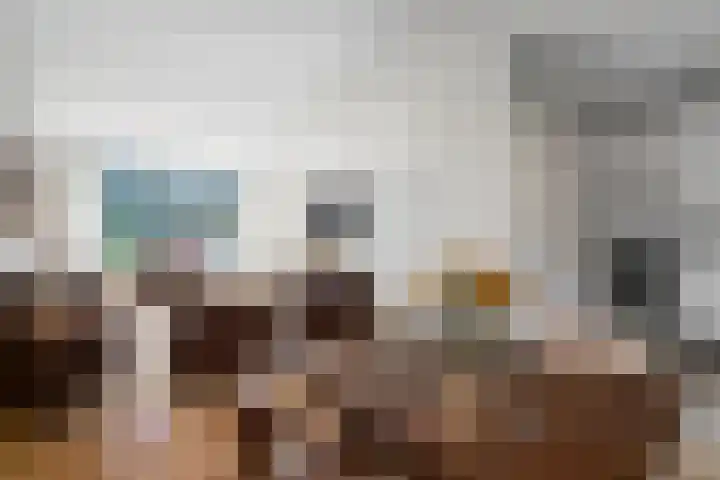 Roestmos 14 Rotterdam thumbnail 16