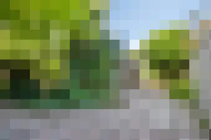 Roestmos 14 Rotterdam thumbnail 19