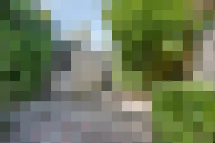 Roestmos 14 Rotterdam thumbnail 20