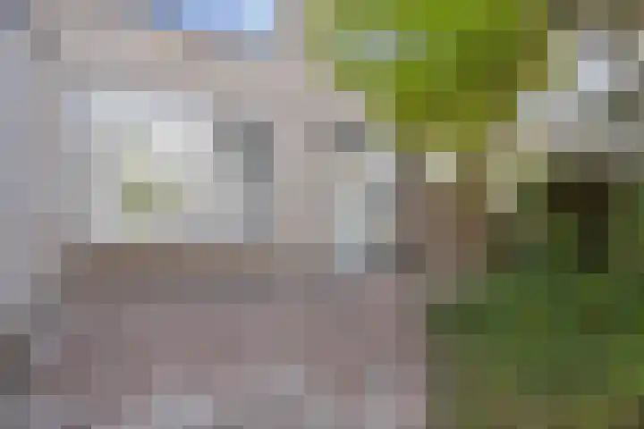 Roestmos 14 Rotterdam thumbnail 21