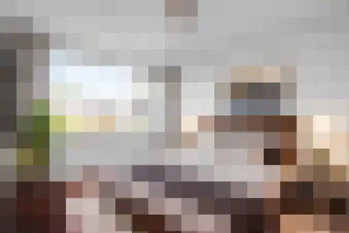 Roestmos 14 Rotterdam thumbnail 26