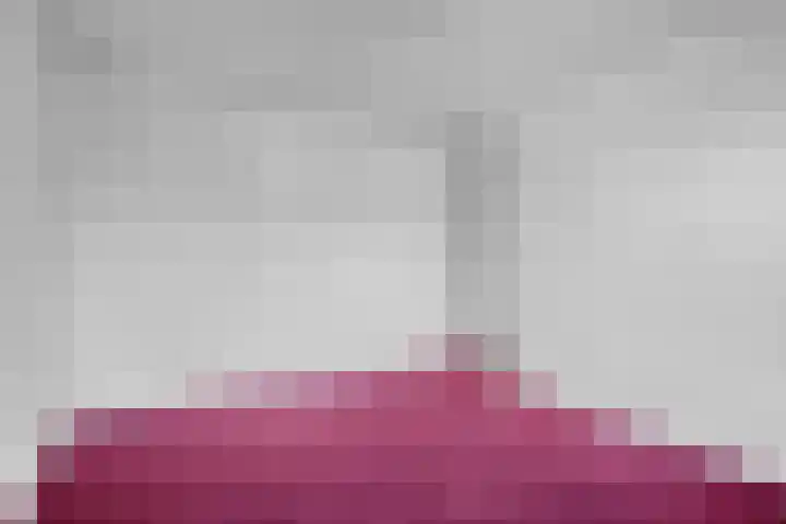 Roestmos 14 Rotterdam thumbnail 28