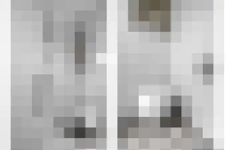 Roestmos 14 Rotterdam thumbnail 31
