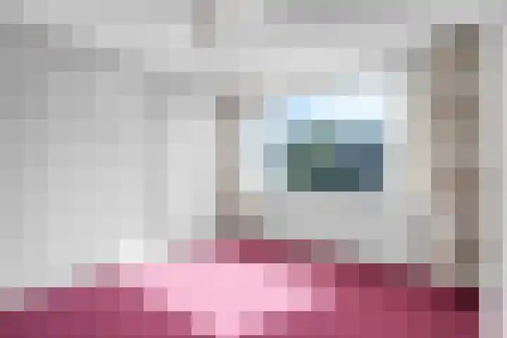 Roestmos 14 Rotterdam thumbnail 32