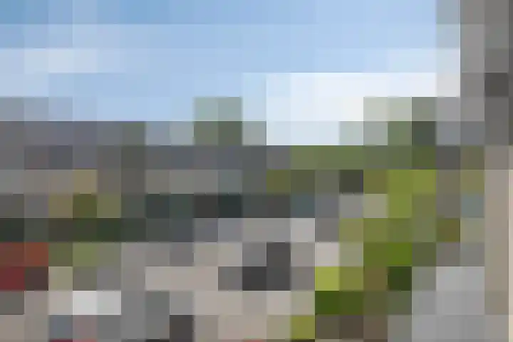 Roestmos 14 Rotterdam thumbnail 34