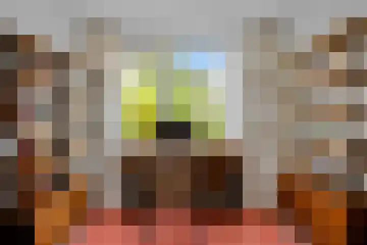 Roestmos 14 Rotterdam thumbnail 36