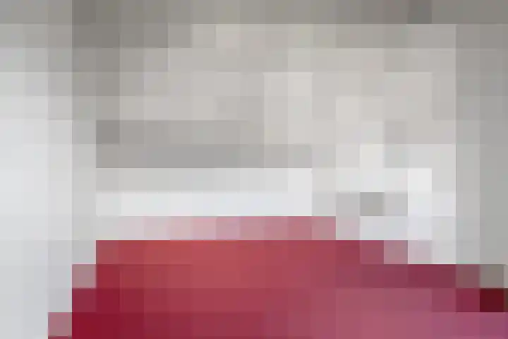 Roestmos 14 Rotterdam thumbnail 41