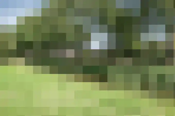 Roestmos 14 Rotterdam thumbnail 46