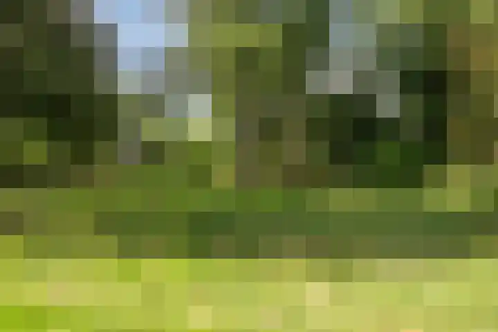 Roestmos 14 Rotterdam thumbnail 47