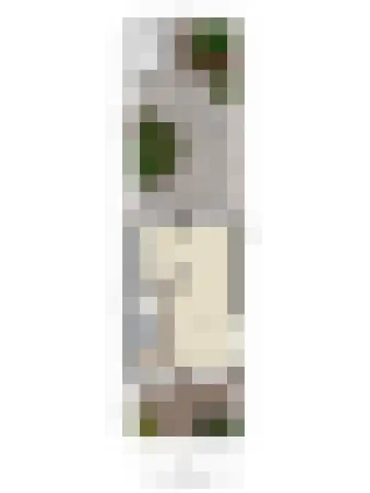 Roestmos 14 Rotterdam thumbnail 48