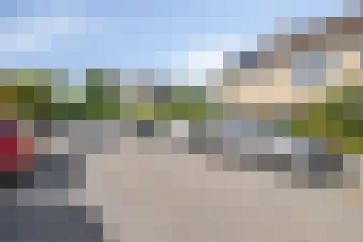 Roestmos 14 Rotterdam thumbnail 5