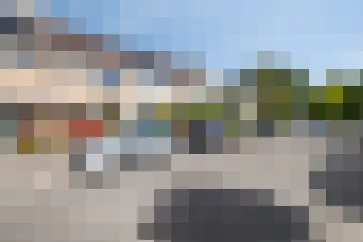 Roestmos 14 Rotterdam thumbnail 6