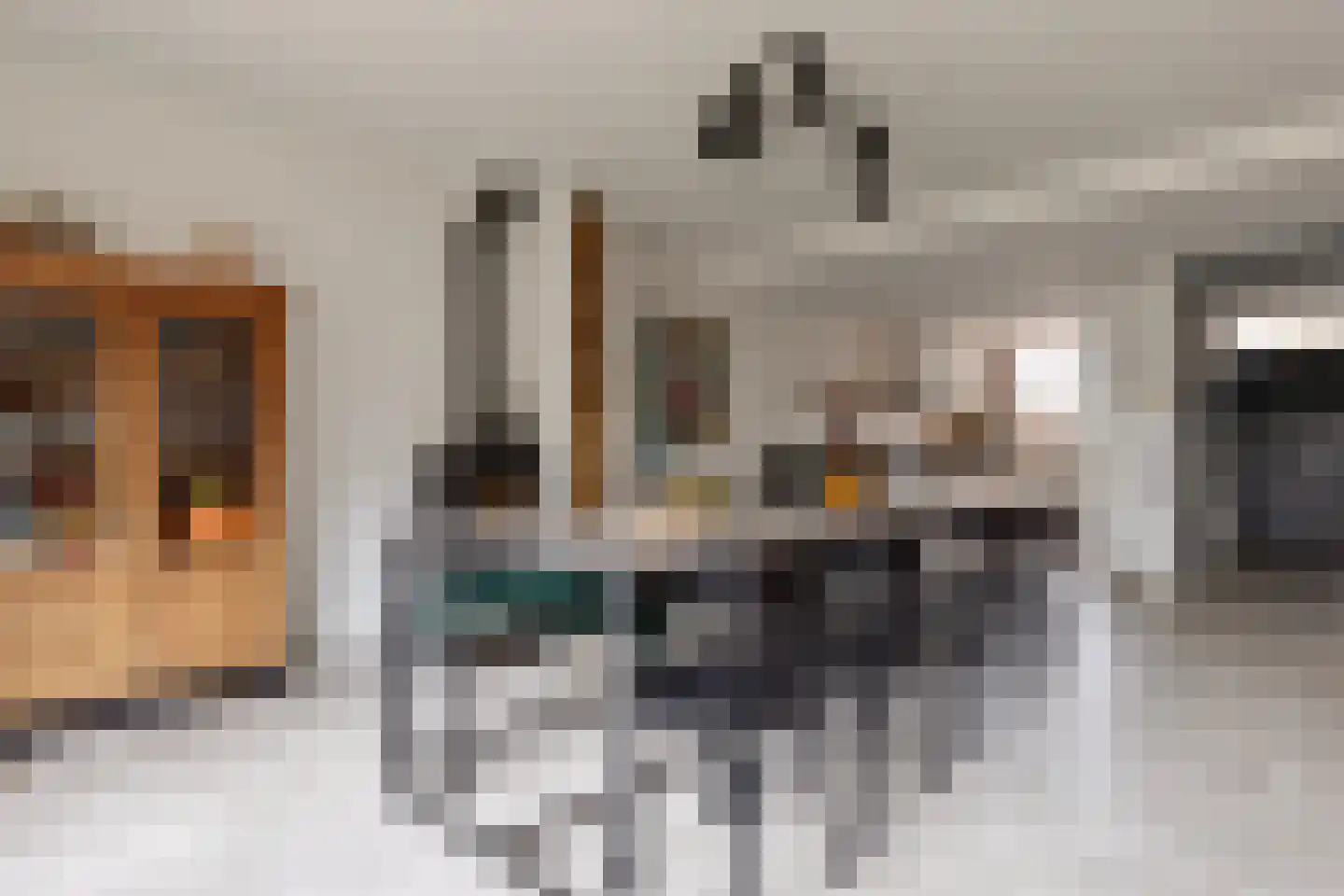 Roestuin 21 Hendrik-Ido-Ambacht thumbnail 12
