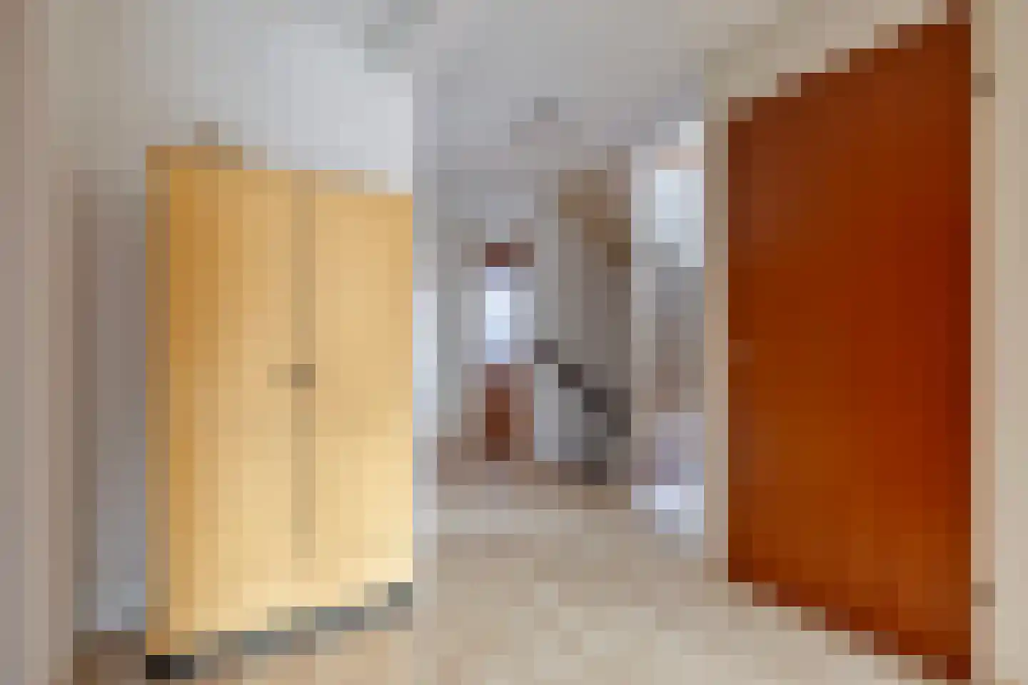 Roestuin 21 Hendrik-Ido-Ambacht thumbnail 19