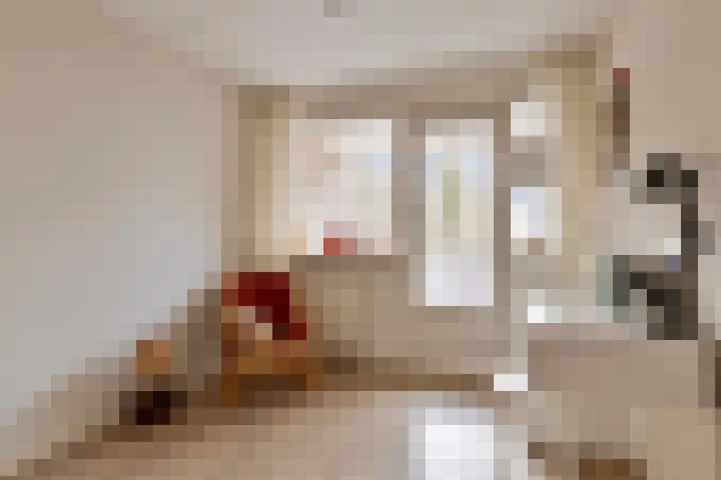 Roestuin 21 Hendrik-Ido-Ambacht thumbnail 35