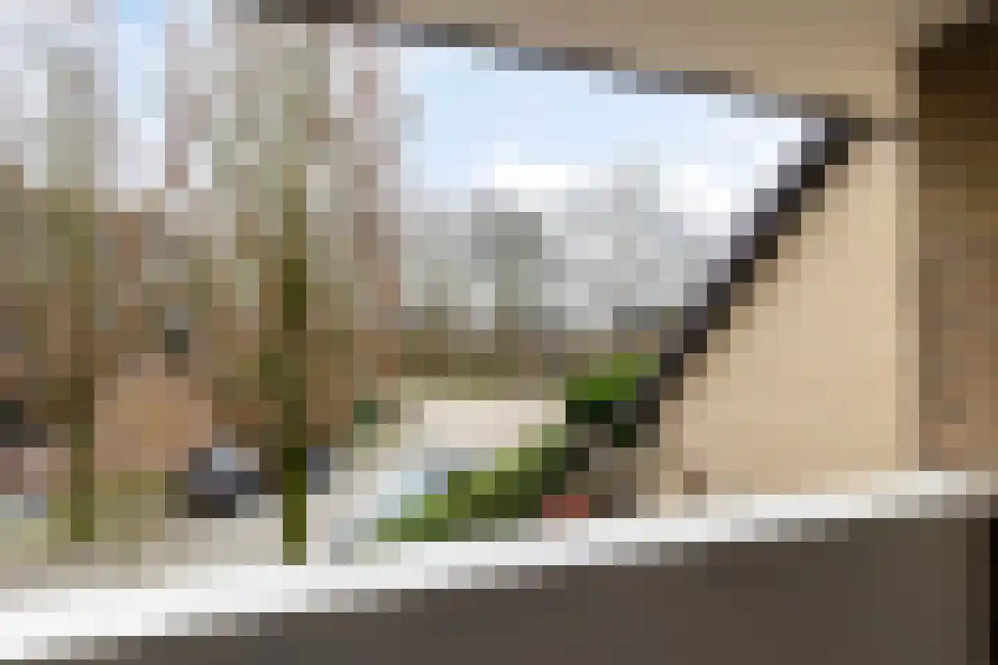Roestuin 21 Hendrik-Ido-Ambacht thumbnail 38