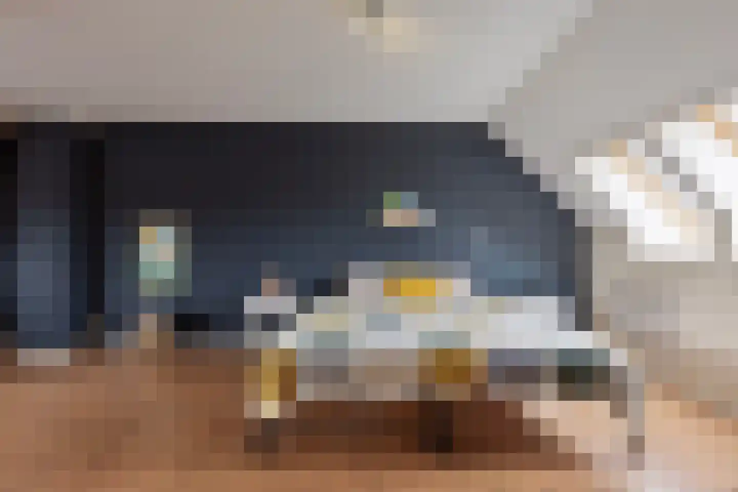 Roestuin 21 Hendrik-Ido-Ambacht thumbnail 43