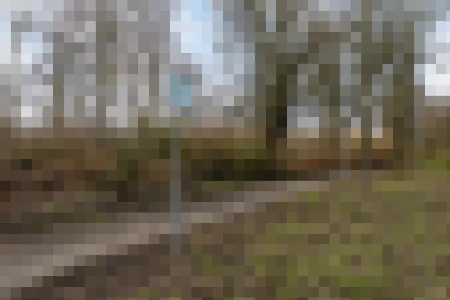 Roestuin 21 Hendrik-Ido-Ambacht thumbnail 53