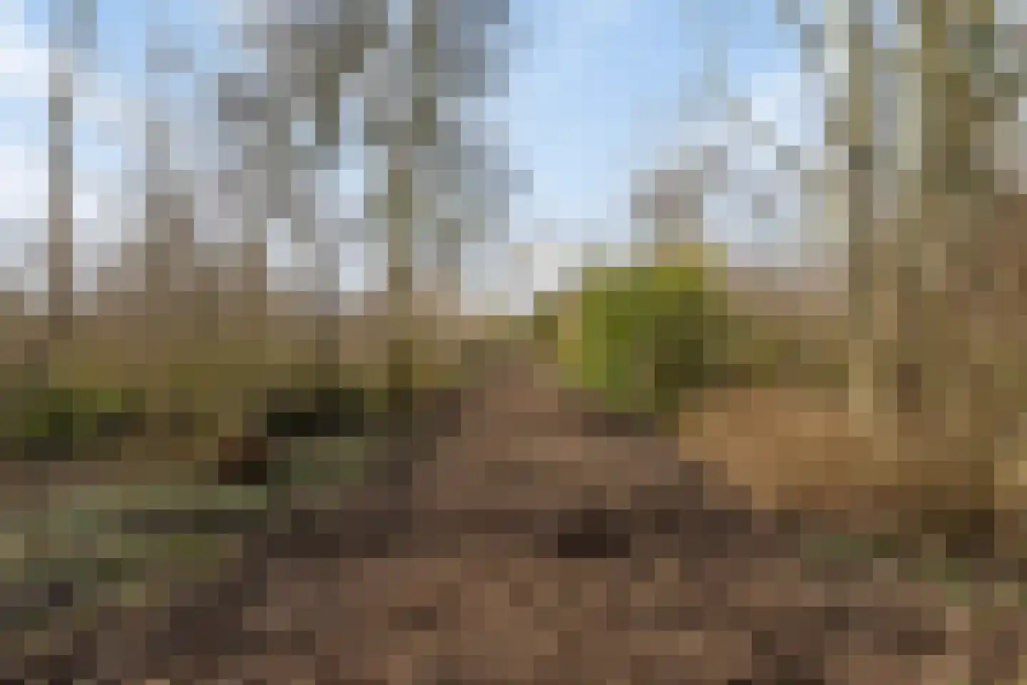 Roestuin 21 Hendrik-Ido-Ambacht thumbnail 54
