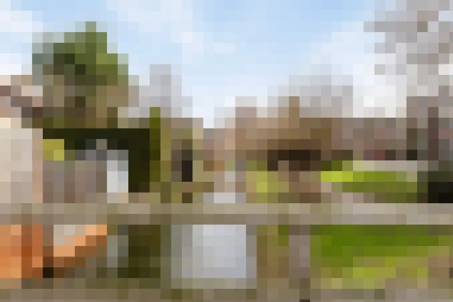 Roestuin 21 Hendrik-Ido-Ambacht thumbnail 56