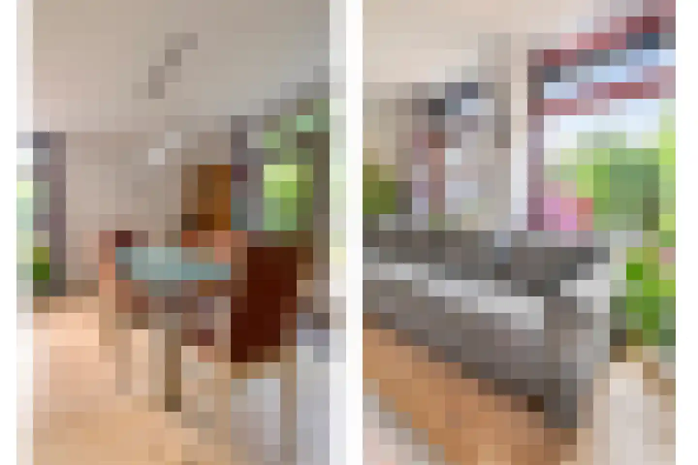 Roestuin 23 Hendrik-Ido-Ambacht thumbnail 11