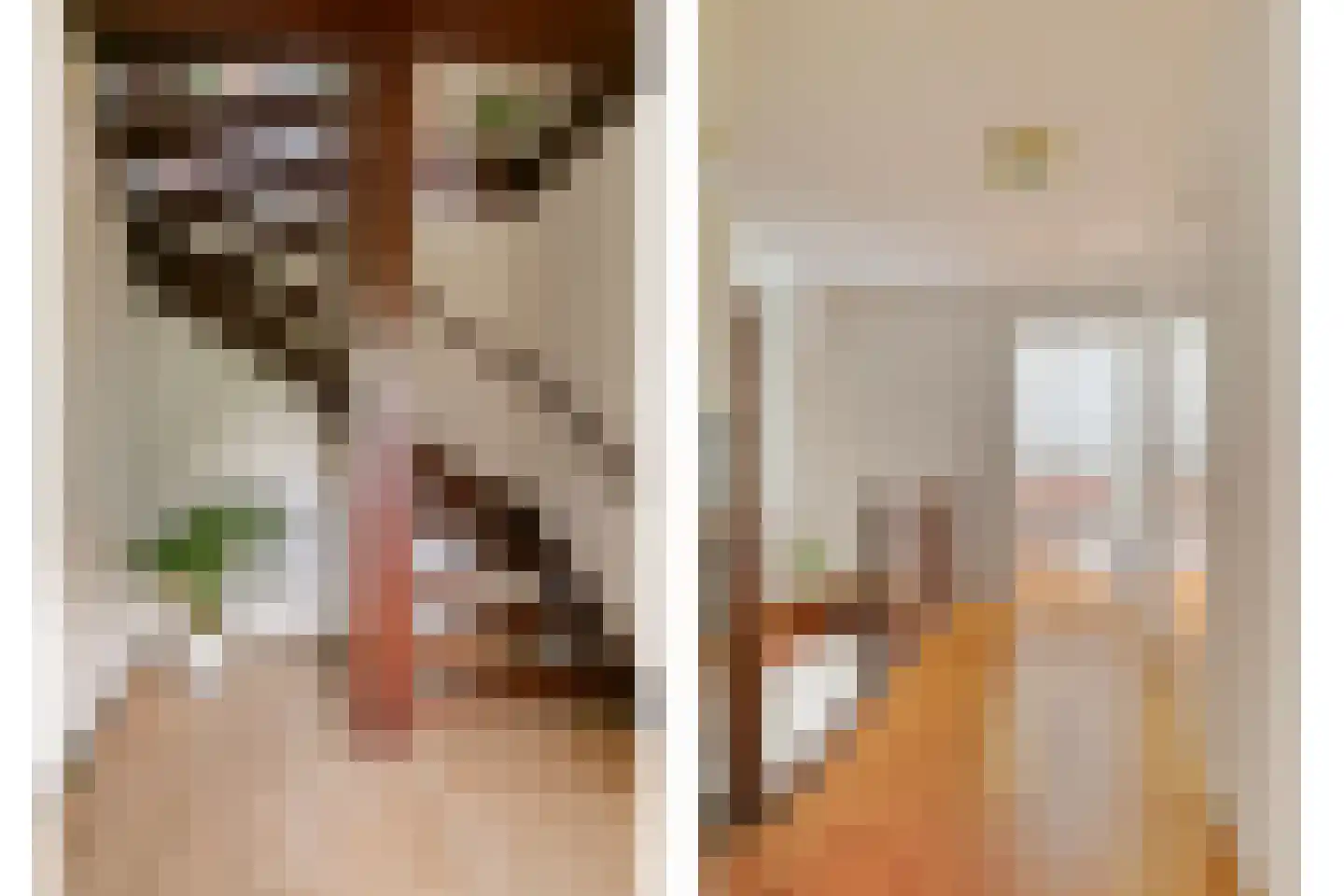 Roestuin 23 Hendrik-Ido-Ambacht thumbnail 14