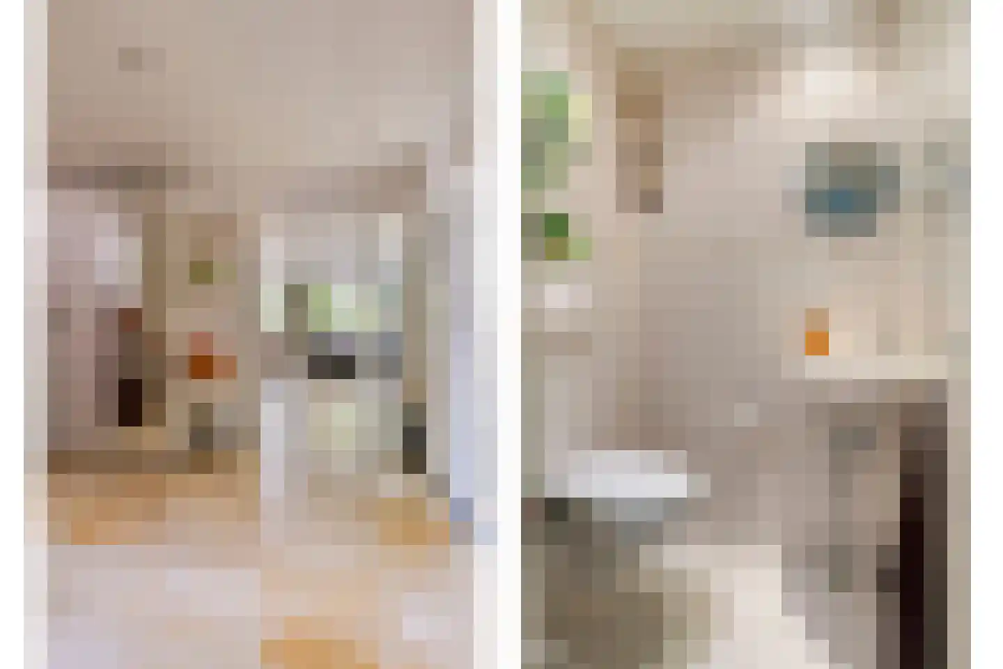 Roestuin 23 Hendrik-Ido-Ambacht thumbnail 23
