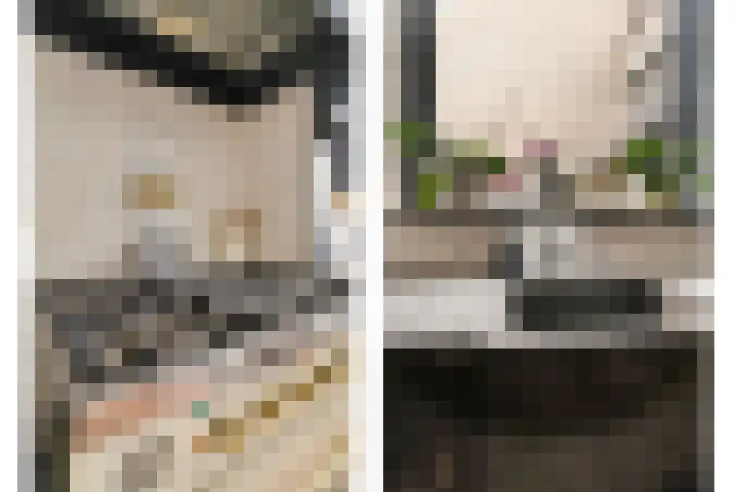 Roestuin 23 Hendrik-Ido-Ambacht thumbnail 30