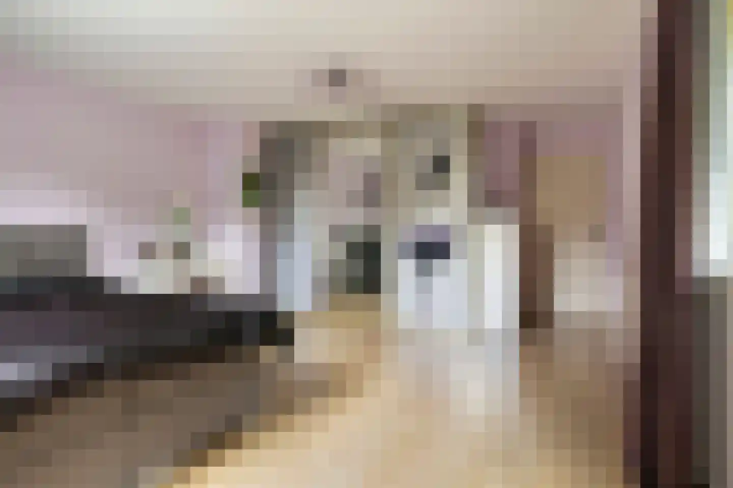 Roestuin 23 Hendrik-Ido-Ambacht thumbnail 33