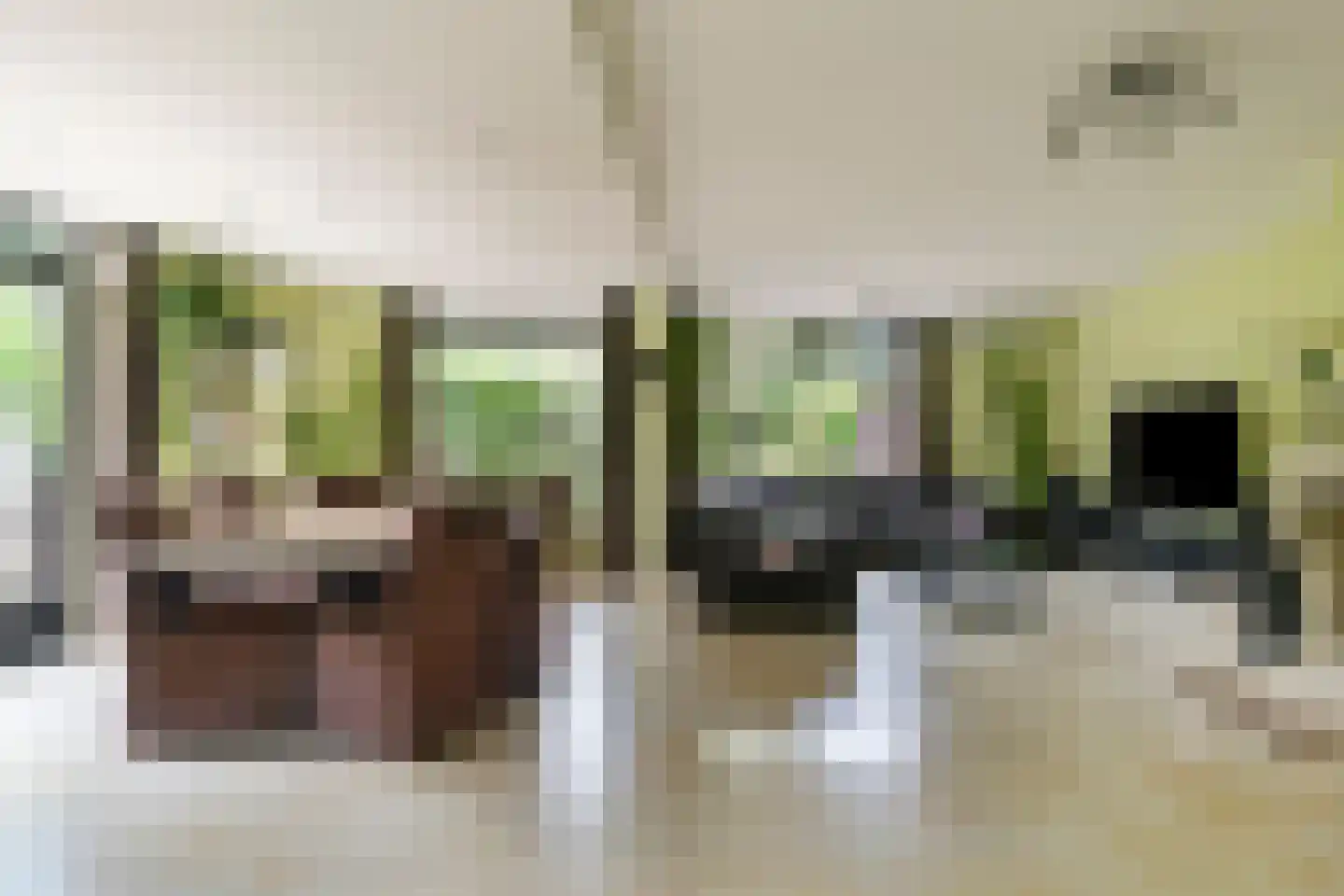 Roestuin 23 Hendrik-Ido-Ambacht thumbnail 4