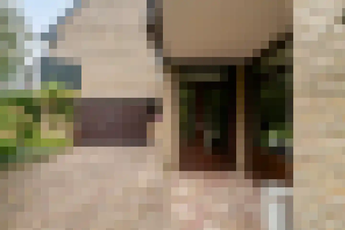 Roestuin 23 Hendrik-Ido-Ambacht thumbnail 42