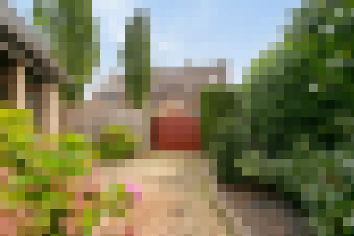 Roestuin 23 Hendrik-Ido-Ambacht thumbnail 44