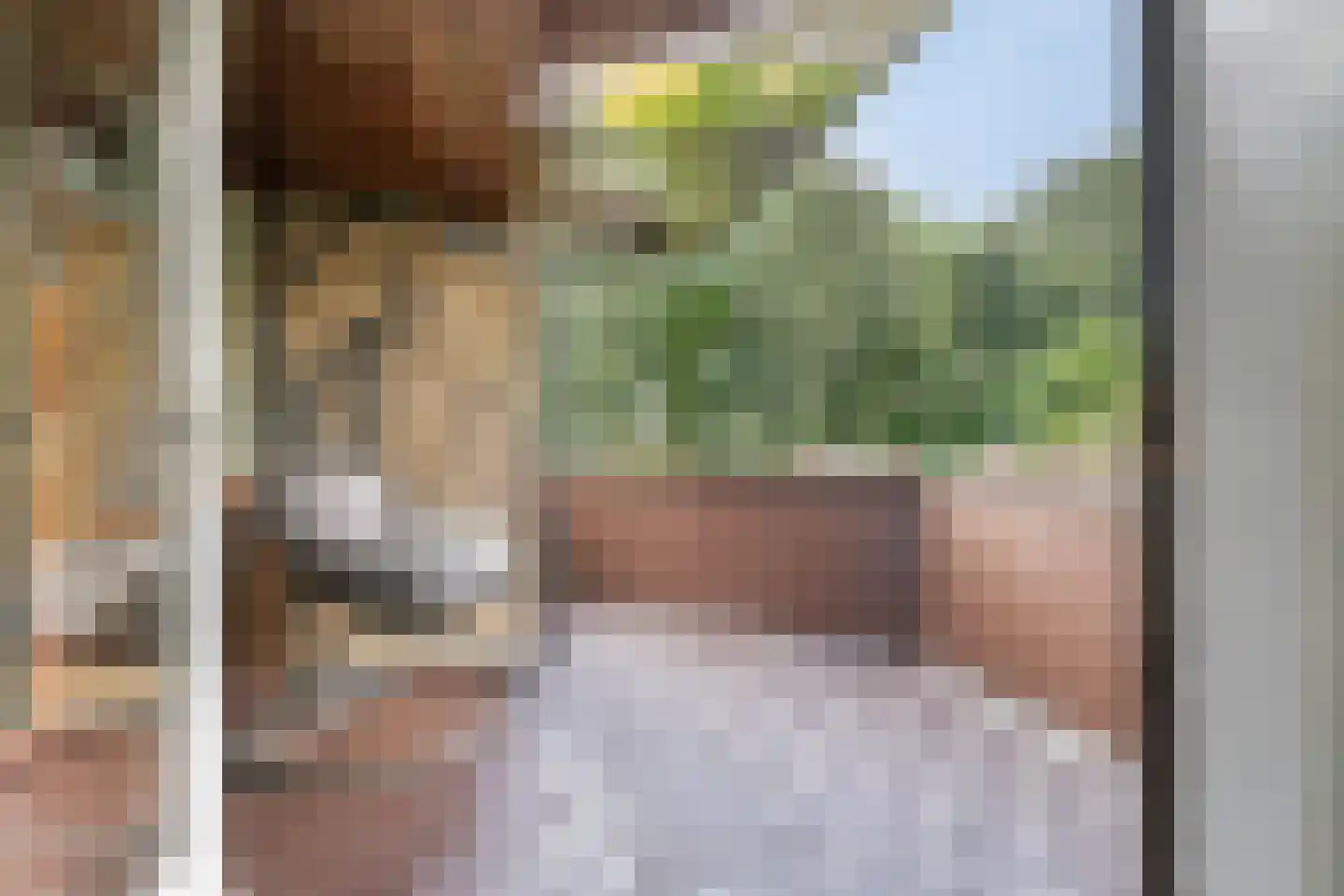 Roestuin 23 Hendrik-Ido-Ambacht thumbnail 46