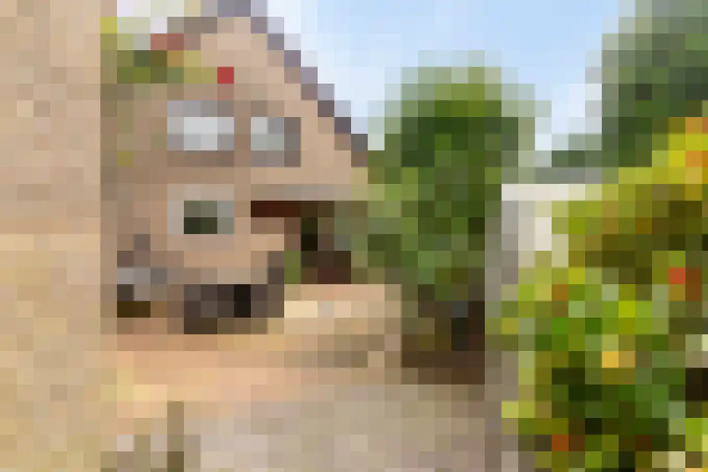 Roestuin 23 Hendrik-Ido-Ambacht thumbnail 5