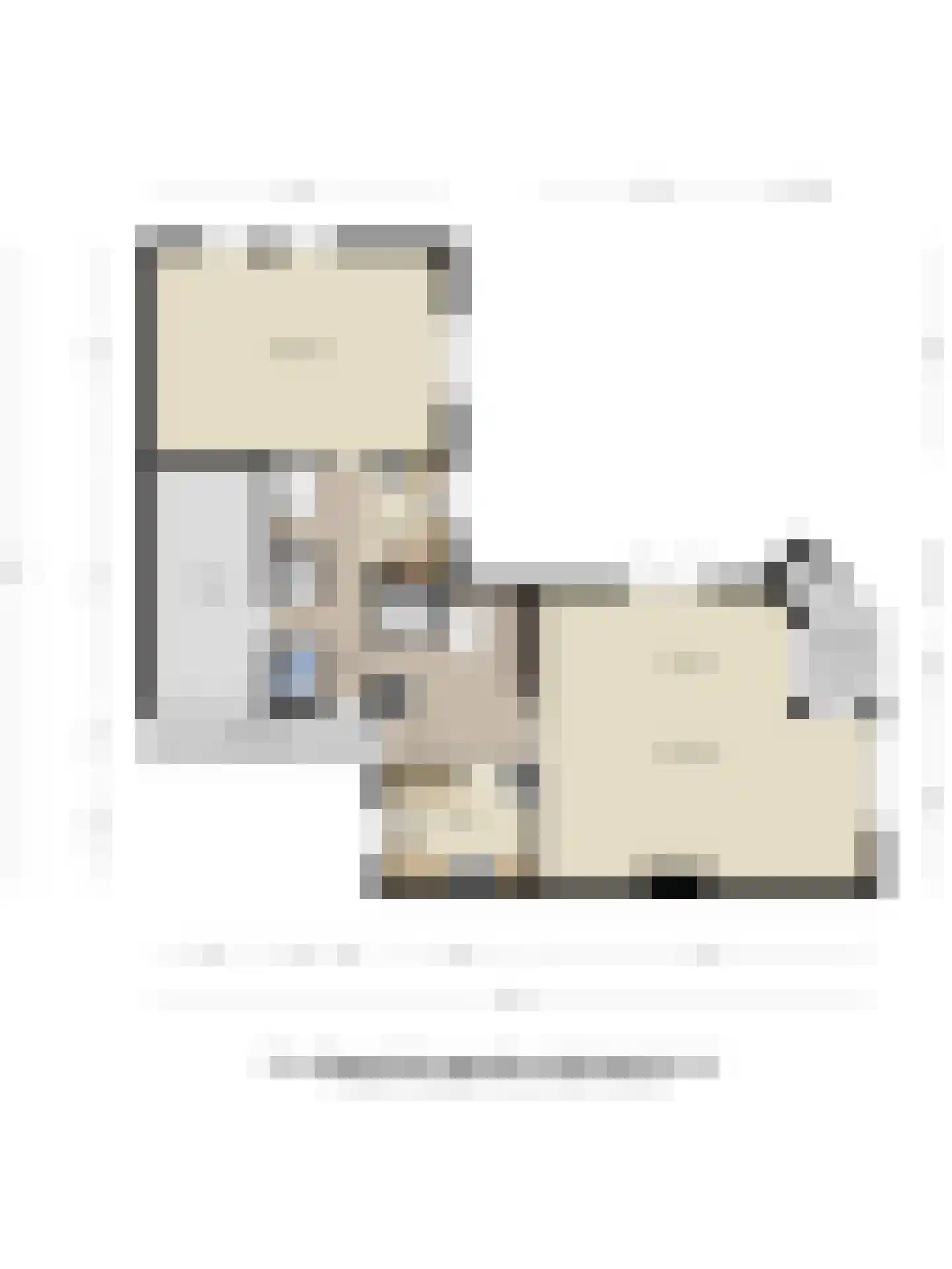 Roestuin 23 Hendrik-Ido-Ambacht thumbnail 52