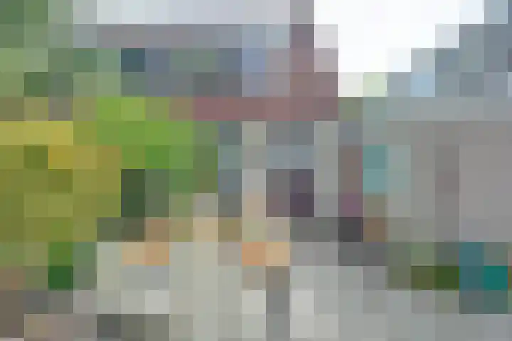 Roestuin 59 Hendrik-Ido-Ambacht thumbnail 31