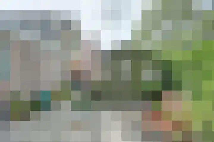 Roestuin 59 Hendrik-Ido-Ambacht thumbnail 33