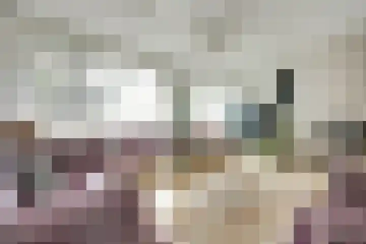 Roestuin 59 Hendrik-Ido-Ambacht thumbnail 4