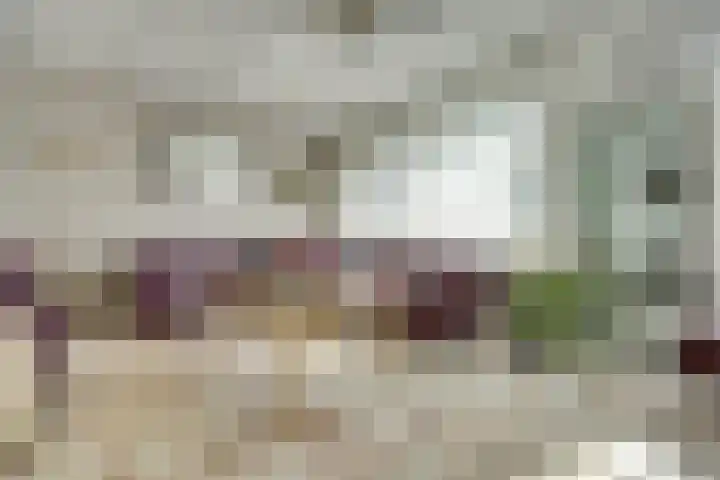Roestuin 59 Hendrik-Ido-Ambacht thumbnail 5