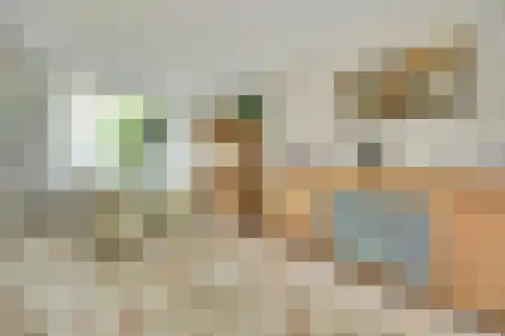 Roestuin 59 Hendrik-Ido-Ambacht thumbnail 7