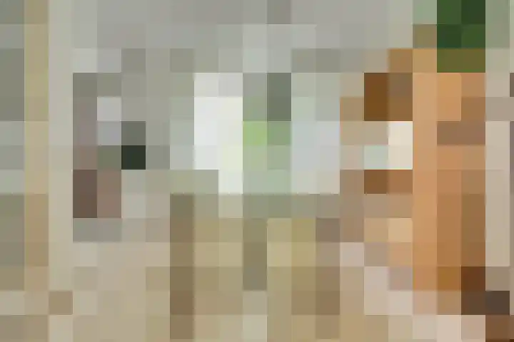 Roestuin 59 Hendrik-Ido-Ambacht thumbnail 8