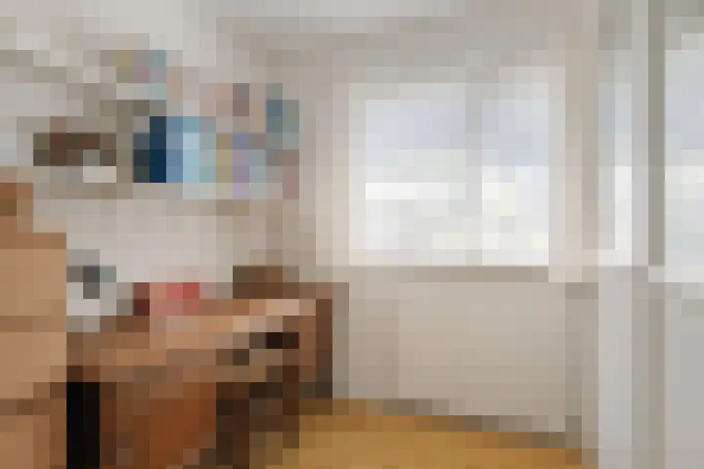Roeterdsweg 22 Diepenveen thumbnail 21